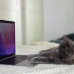 CPU i GPU – Który Układ Wykonuje Funkcje AI w Komputerze?