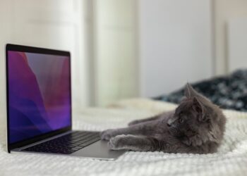 CPU i GPU – Który Układ Wykonuje Funkcje AI w Komputerze?