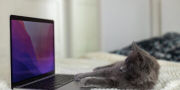 CPU i GPU – Który Układ Wykonuje Funkcje AI w Komputerze?