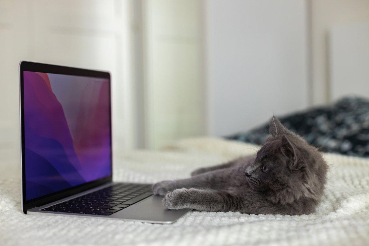 CPU i GPU – Który Układ Wykonuje Funkcje AI w Komputerze?